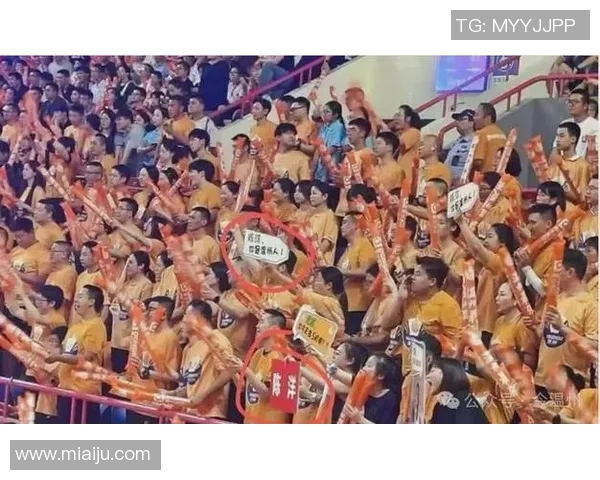 杭州排球队实力引发热议球迷观点分歧引发关注