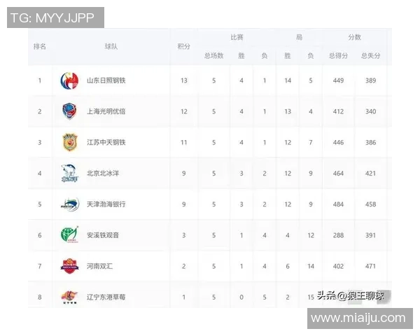 最新排球力量TOP10：南京排球队领跑