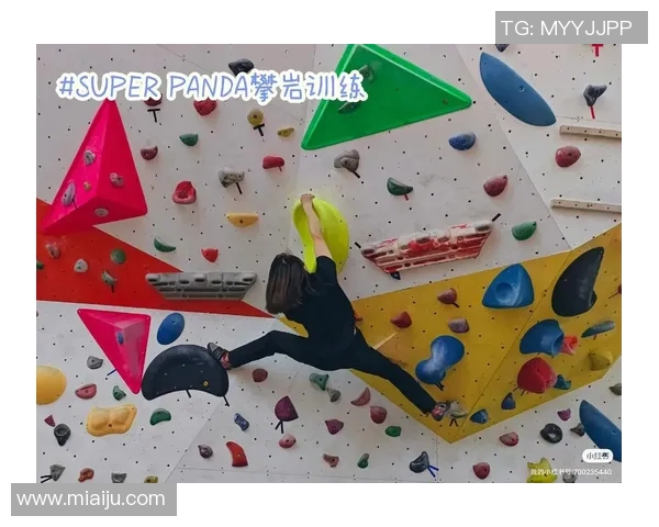 科学攀岩：个人能力训练方法_1